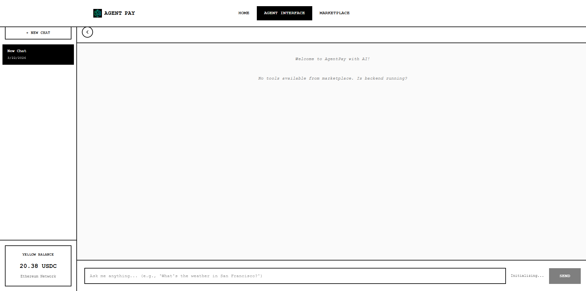 Agent Pay wallet interface and balance
